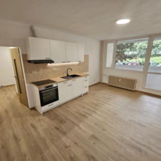 Pronájem bytu 3+kk 56 m² Litoměřice Předměstí, Družstevní