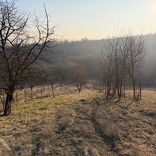 Prodej zahrady 1 409 m² Litoměřice Pokratice