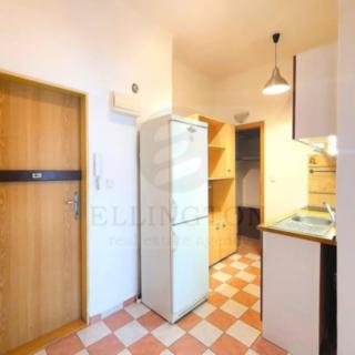 Pronájem bytu 2+1 54 m² Praha