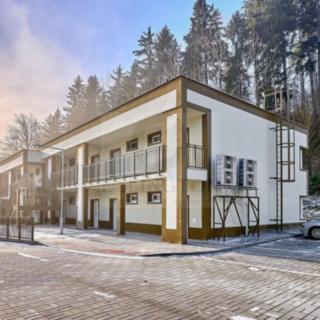 Pronájem bytu 1+kk a garsoniéry 26 m² Ostrov Horní Žďár