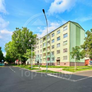 Prodej bytu 3+1 71 m² Ostrov, Kollárova