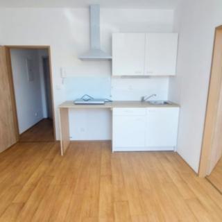 Pronájem bytu 1+1 26 m² Cheb, Dragounská