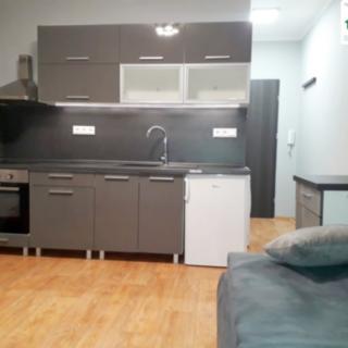 Pronájem bytu 1+kk, garsoniery 20 m² Aš