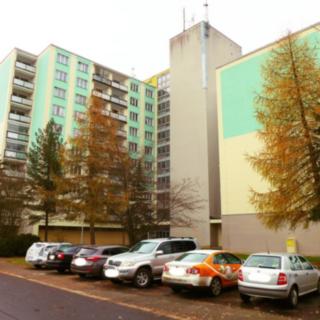 Pronájem bytu 1+1 48 m² Mariánské Lázně Úšovice, Havlíčkova
