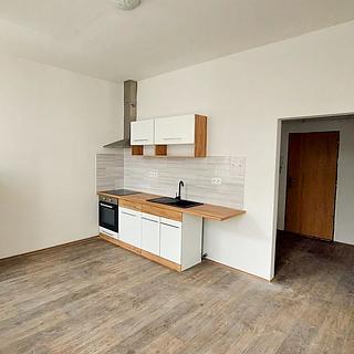 Pronájem bytu 1+1 75 m² Cheb, Evropská