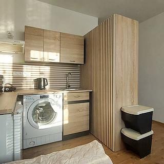 Pronájem bytu 1+kk a garsoniéry 19 m² Cheb, Šeříková