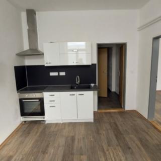 Pronájem bytu 1+1 46 m² Cheb, Evropská