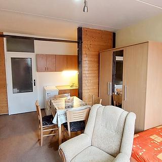 Pronájem bytu 1+kk a garsoniéry 22 m² Cheb, Přátelství