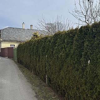 Prodej rodinného domu 85 m² Budišov nad Budišovkou, Mlýnská