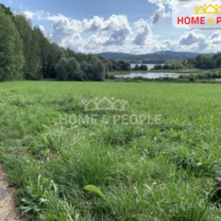 Prodej louky 5435 m² Nová Pec