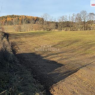 Prodej komerčního pozemku 4 522 m² Vlachovo Březí, Pražská