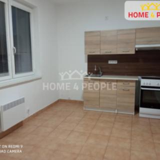 Pronájem bytu 1+1 44 m² Tuhaň