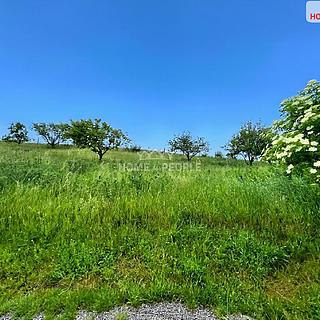 Prodej stavební parcely 1255 m&sup2; Trubín