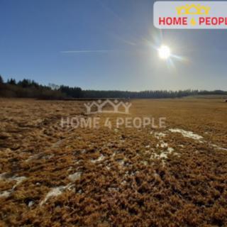 Prodej louky 11 835 m² Černá v Pošumaví, Černá v Pošumaví