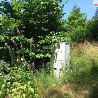 Prodej ostatního pozemku 194 m² Jivno, Jivno