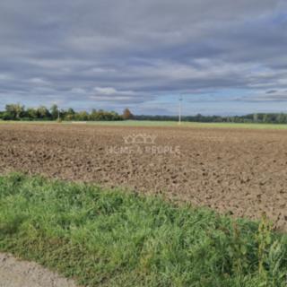 Prodej komerčního pozemku 12 361 m² Malešovice, Malešovice