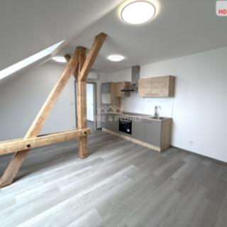 Pronájem bytu 2+kk 48 m² Město Touškov