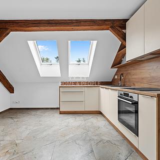 Pronájem bytu 3+kk 44 m² Chrášťany