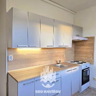 Prodej bytu 2+1 50 m² Havířov Podlesí, Okrajová
