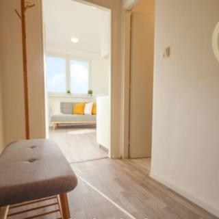 Pronájem bytu 1+kk, garsoniery 19 m² Brno