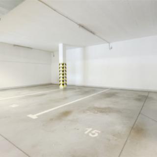 Prodej parkovacího místa 12 m² Brno Žebětín, Listnatá