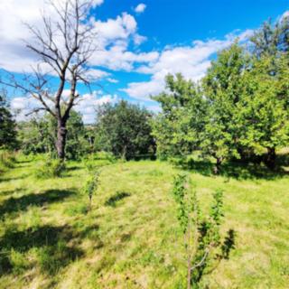 Prodej chaty 16 m² Brno Horní Heršpice