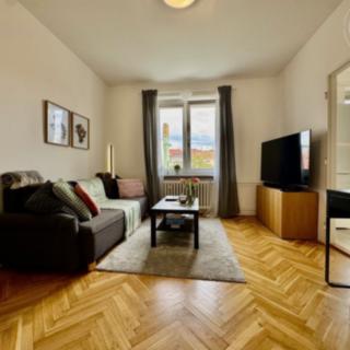 Pronájem bytu 2+1 52 m² Brno