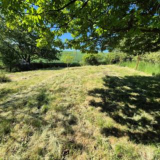 Prodej zahrady 1 271 m² Omice