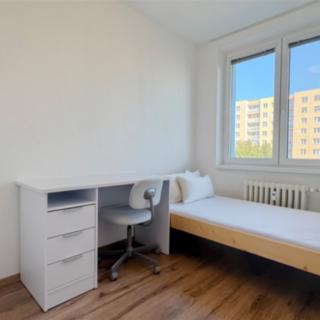Pronájem pokoje 78 m² Brno