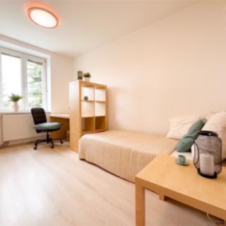 Pronájem pokoje 20 m² Brno