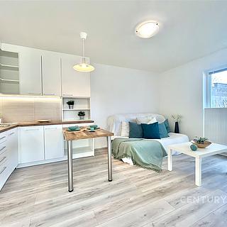 Pronájem bytu 3+kk 48 m² Ostrovačice