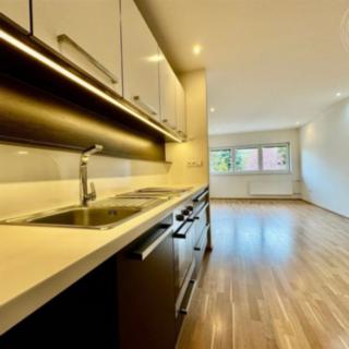 Pronájem bytu 2+kk 50 m² Brno Obřany, Fryčajova