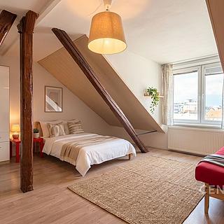 Pronájem bytu 3+kk 94 m² Brno Trnitá, Mlýnská