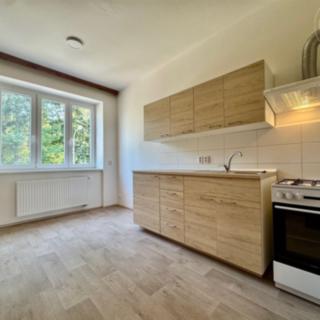 Pronájem bytu 1+1 40 m² Brno