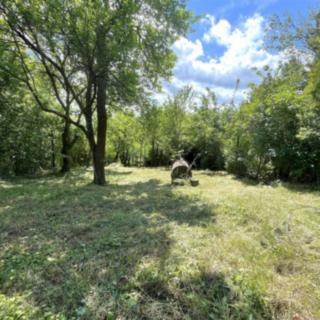 Prodej zahrady 339 m² Rozdrojovice