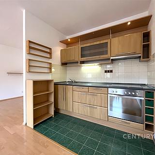 Pronájem bytu 1+kk a garsoniéry 49 m² Brno Žebětín, Keřová