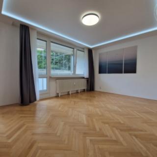 Pronájem bytu 2+1 47 m² Brno