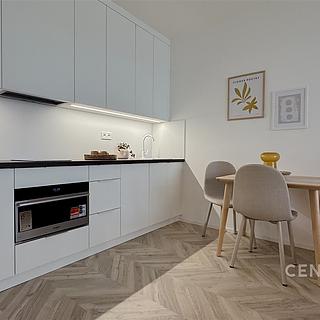 Pronájem bytu 1+kk a garsoniéry 46 m² Brno Zábrdovice, Cejl