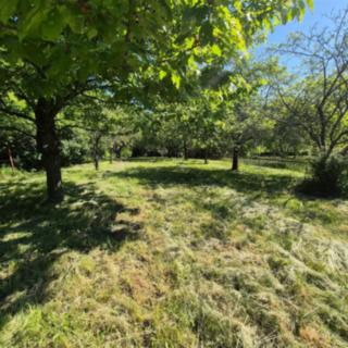 Prodej zahrady 1271 m² Omice