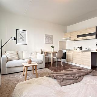 Prodej bytu 1+kk a garsoniéry 32 m² Brno Bohunice, Spodní