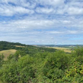 Prodej zahrady 1 m² Ostopovice