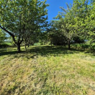 Prodej zahrady 1 271 m² Omice