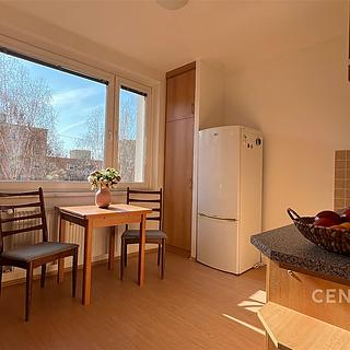 Pronájem bytu 1+1 41 m² Brno Bystrc, Ečerova