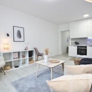 Pronájem bytu 1+kk, garsoniery 36 m² Brno