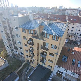 Prodej bytu 5+1 a více 179 m² Brno
