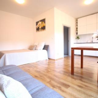 Pronájem bytu 1+kk, garsoniery 33 m² Brno