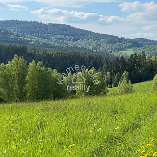 Prodej stavební parcely 113244 m² Malšín