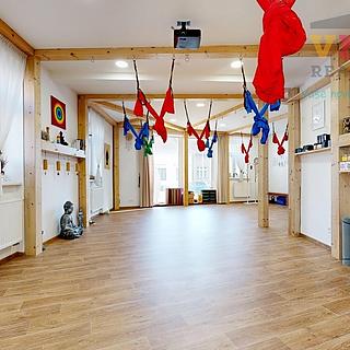 Prodej ostatního komerčního prostoru 205 m² Prostějov, Sokolská