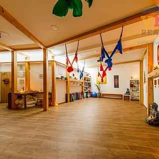 Prodej ostatního komerčního prostoru 205 m² Prostějov, Sokolská