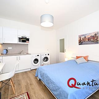 Pronájem bytu 1+kk a garsoniéry 30 m² Praha Nové Město, Půtova
